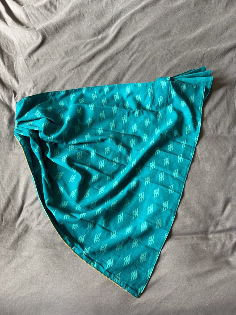 Disney Cruise Line Teal Scarf Adjustable Shall O/S EUC Authentic Merchandise